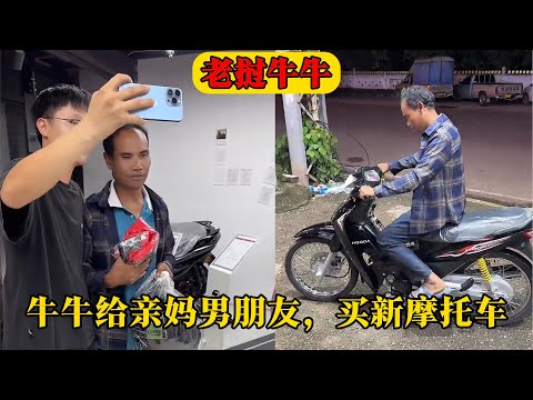 南京队客场,大胜天津队,净胜,世界杯小组赛,2026世界杯,小组赛赛程,球队分析,战术解读